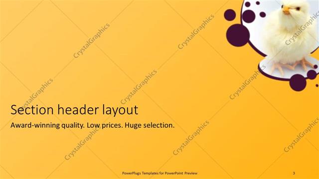 Section Header presentation slide layout