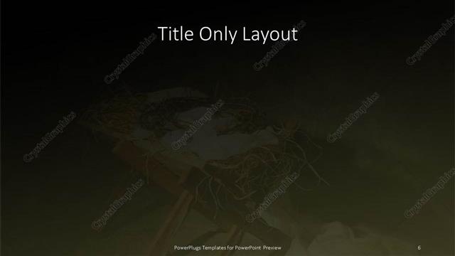 Title Only presentation slide layout