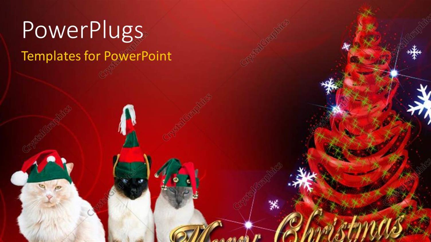 Premium Template for PowerPoint & Google Slides 