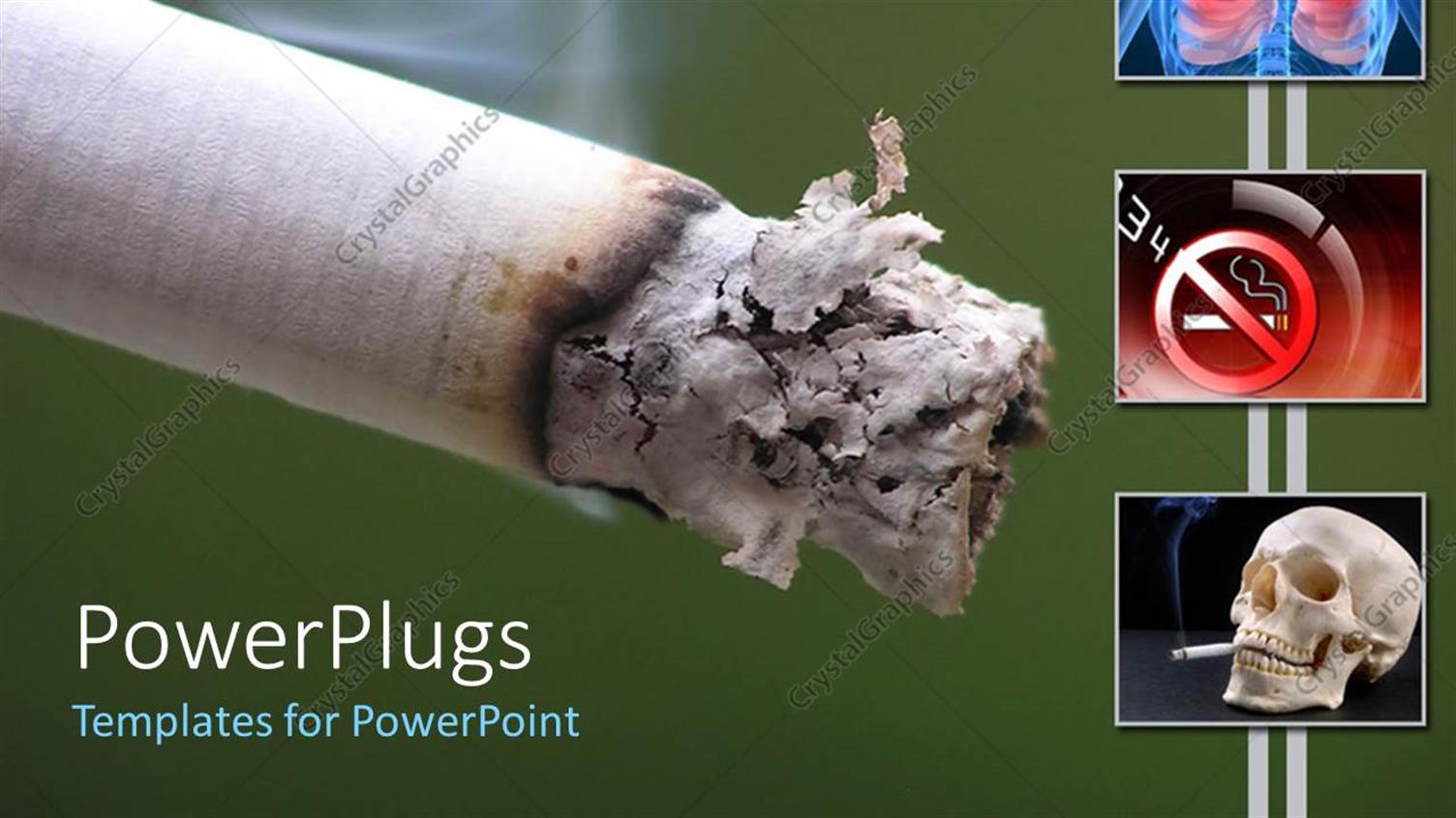 Premium Template for PowerPoint & Google Slides 