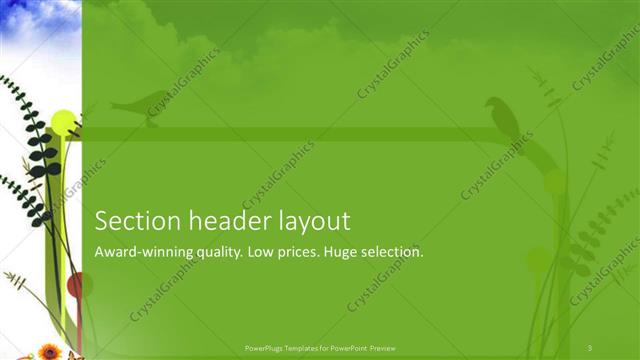 Section Header presentation slide layout