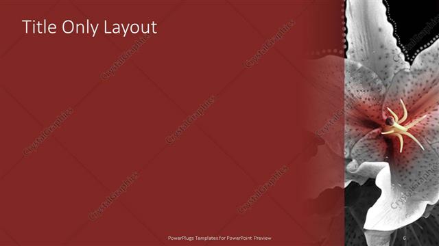 Title Only presentation slide layout