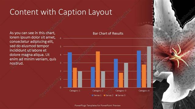 Content with Caption presentation slide layout