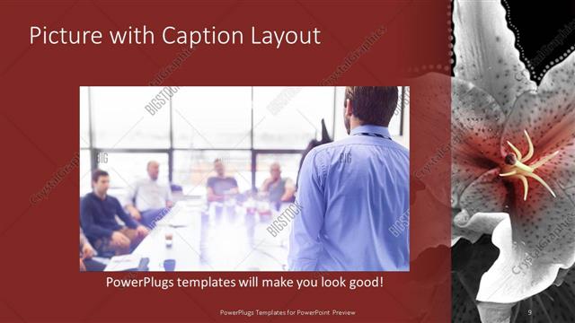 Picture with Caption presentation slide layout