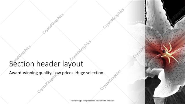 Section Header presentation slide layout