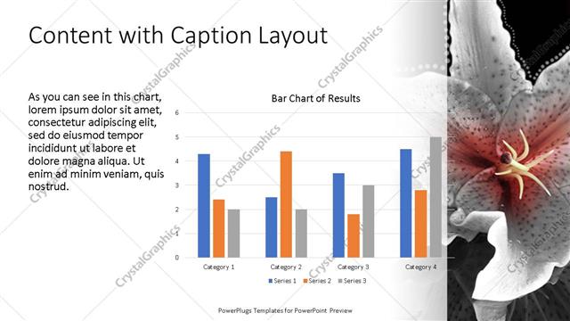 Content with Caption presentation slide layout