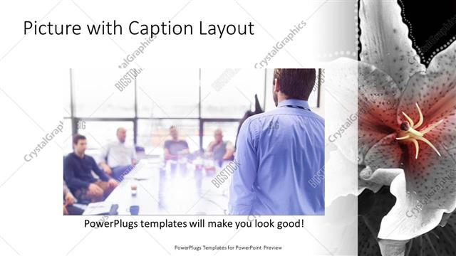 Picture with Caption presentation slide layout