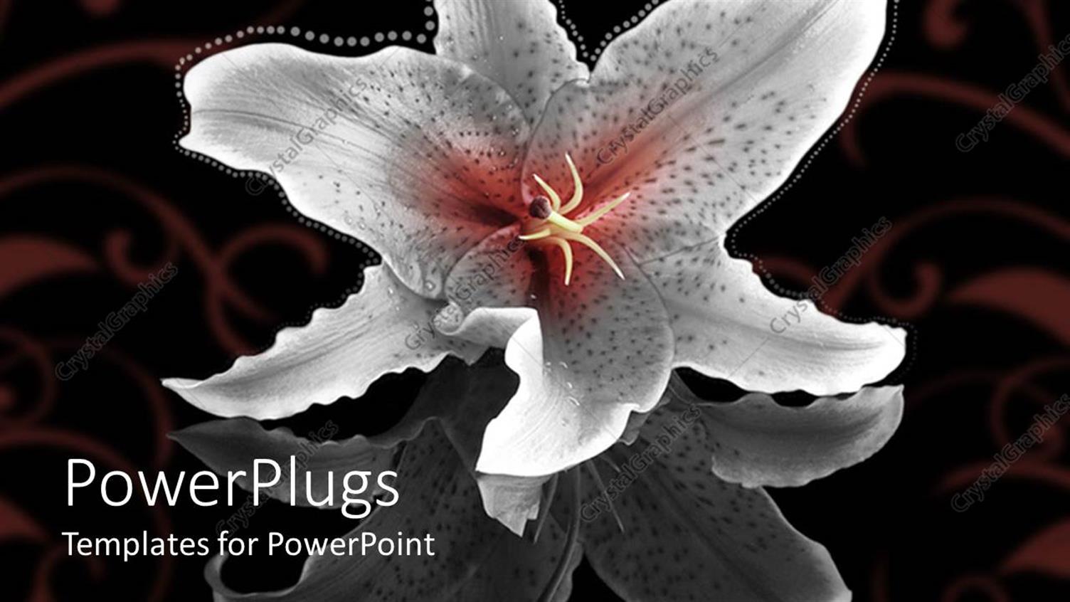 Premium Template for PowerPoint & Google Slides 