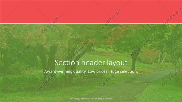 Section Header presentation slide layout
