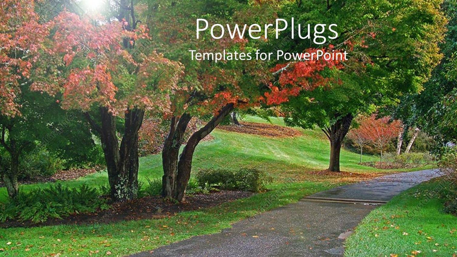 Premium Template for PowerPoint & Google Slides 