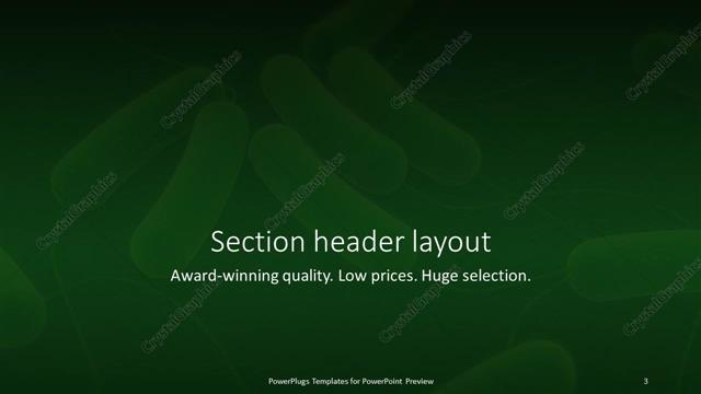 Section Header presentation slide layout