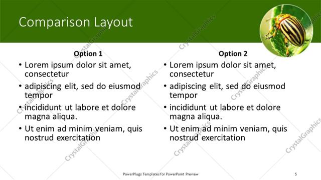 Comparison presentation slide layout