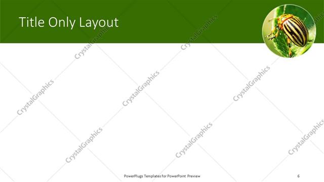 Title Only presentation slide layout