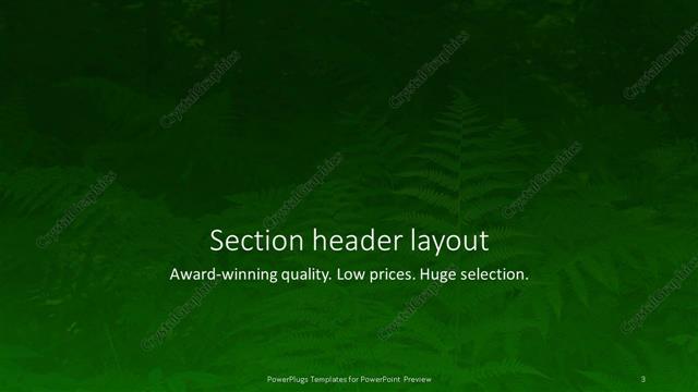 Section Header presentation slide layout