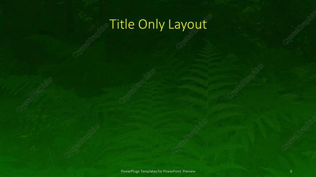 Title Only presentation slide layout
