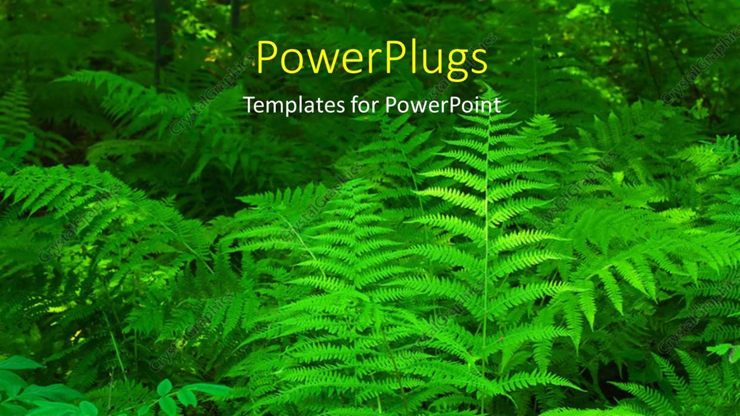 Premium Template for PowerPoint & Google Slides 