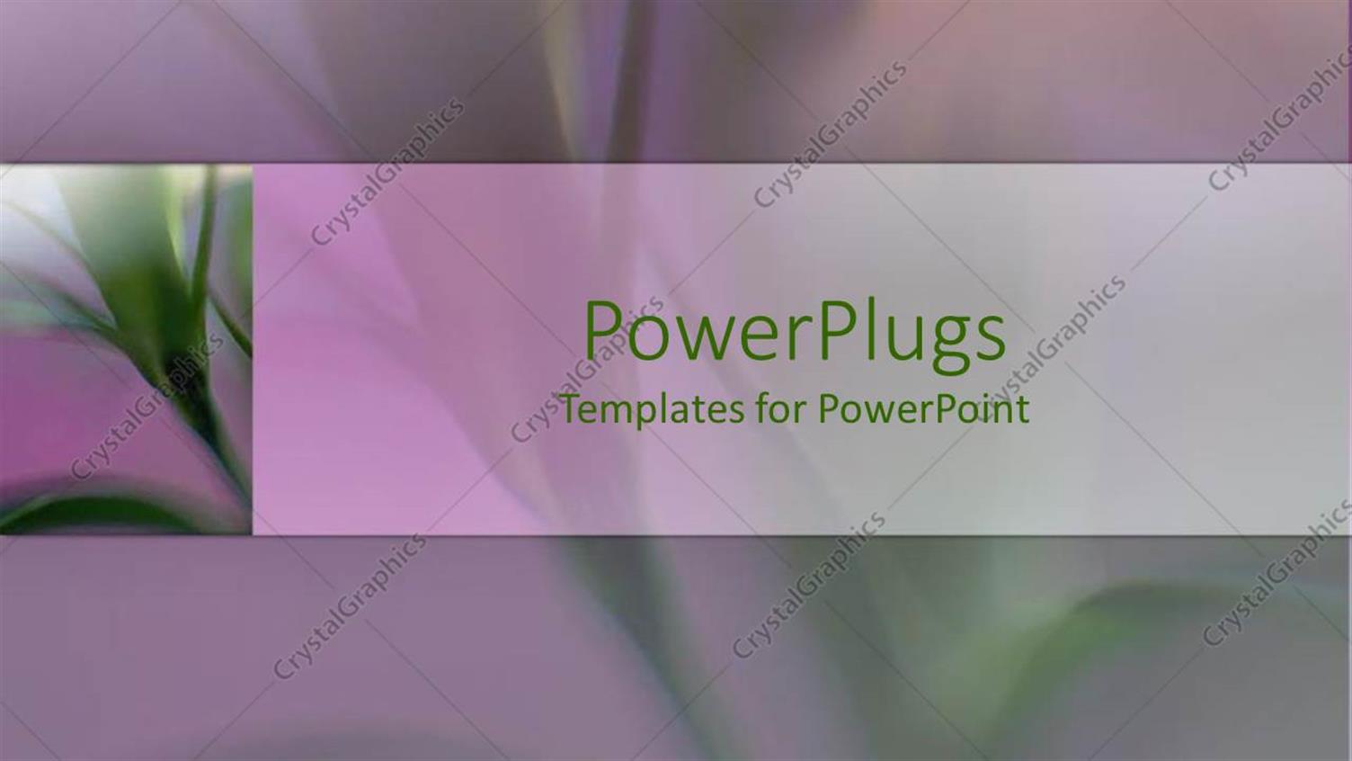 Premium Template for PowerPoint & Google Slides 