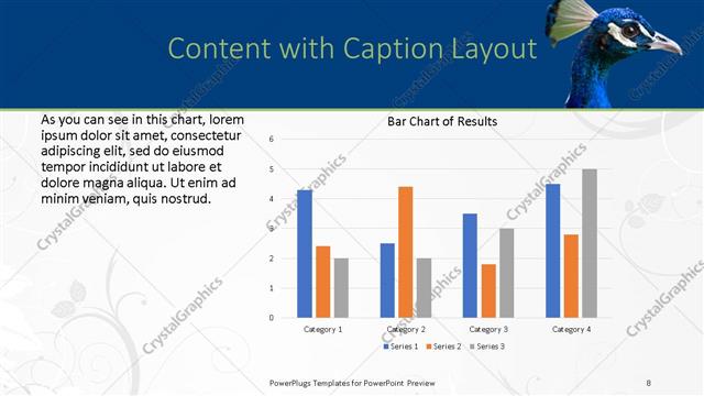 Content with Caption presentation slide layout