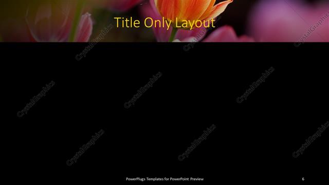 Title Only presentation slide layout