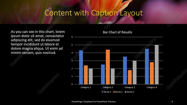 Content with Caption presentation slide layout