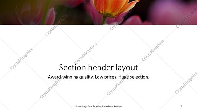 Section Header presentation slide layout