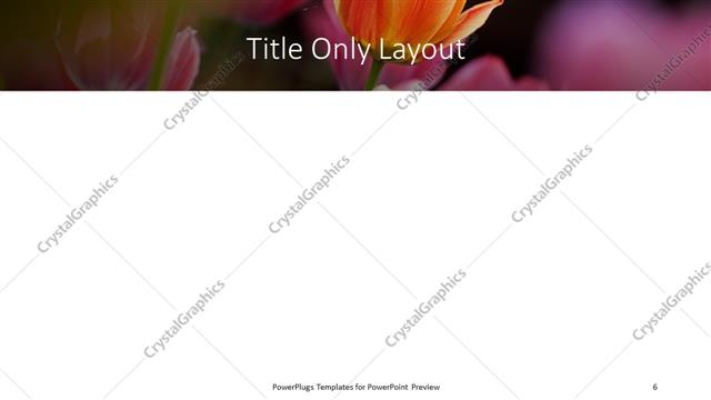 Title Only presentation slide layout