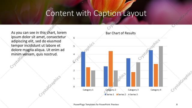 Content with Caption presentation slide layout