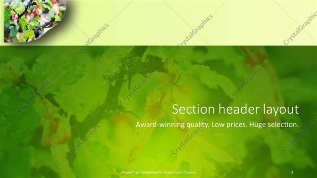 Section Header presentation slide layout
