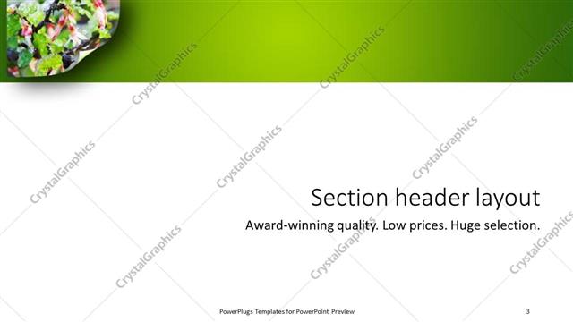 Section Header presentation slide layout