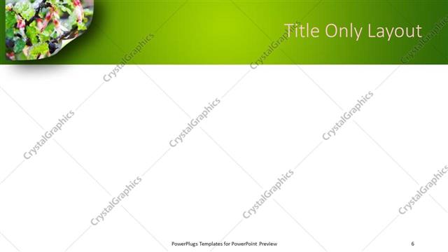 Title Only presentation slide layout