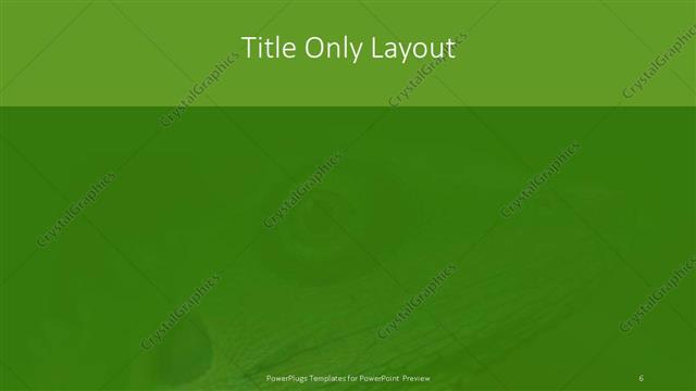 Title Only presentation slide layout