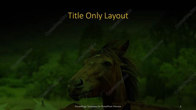 Title Only presentation slide layout