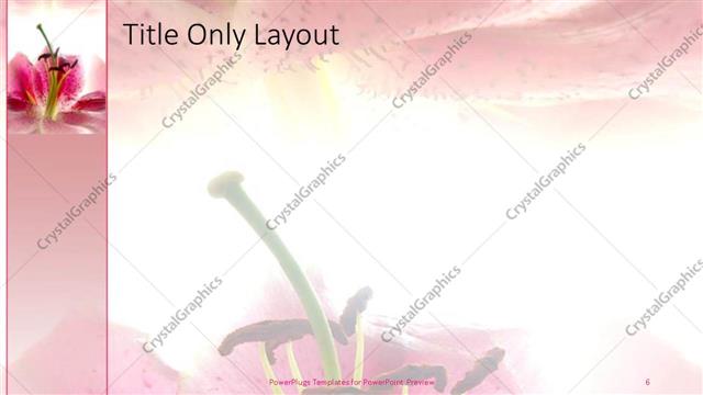 Title Only presentation slide layout