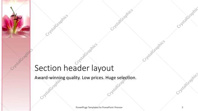 Section Header presentation slide layout