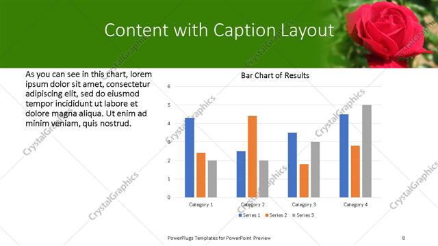 Content with Caption presentation slide layout