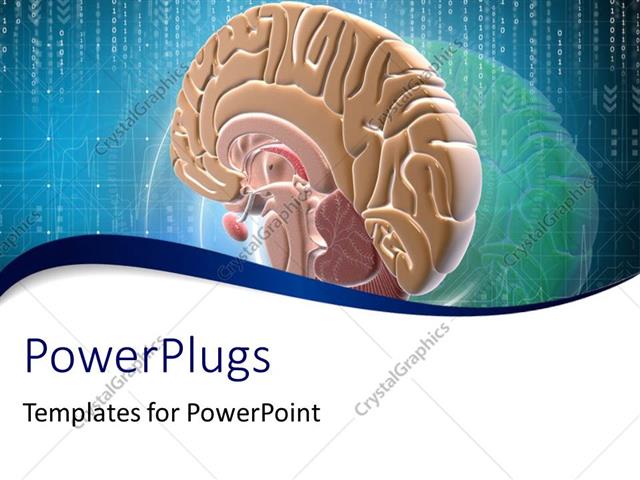  Presentation with brain - Close-up of scan of human brain on digital background