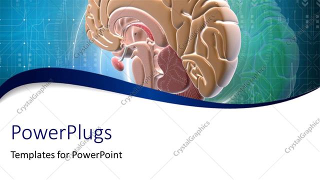  Presentation with human brain - Close-up of scan of human brain on digital background