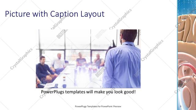 Picture with Caption presentation slide layout