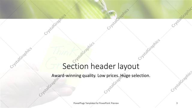 Section Header presentation slide layout