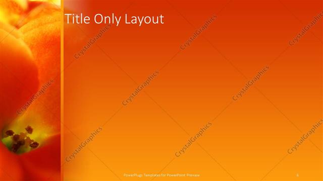 Title Only presentation slide layout