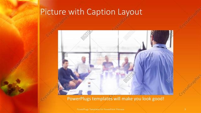 Picture with Caption presentation slide layout