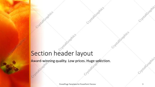 Section Header presentation slide layout