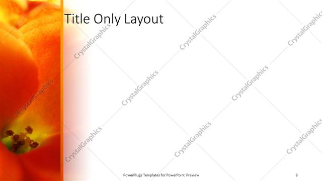Title Only presentation slide layout