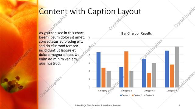 Content with Caption presentation slide layout