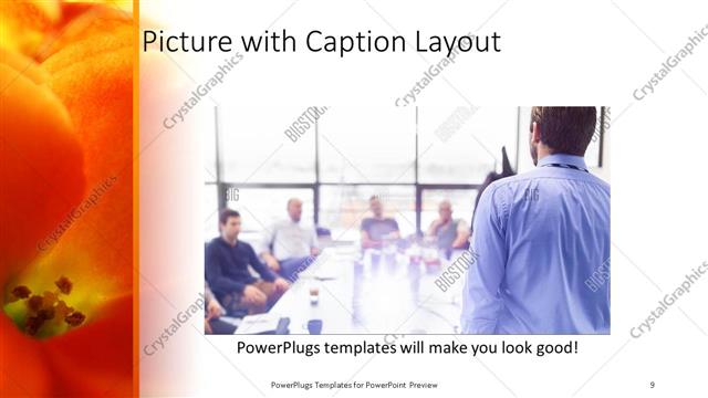 Picture with Caption presentation slide layout