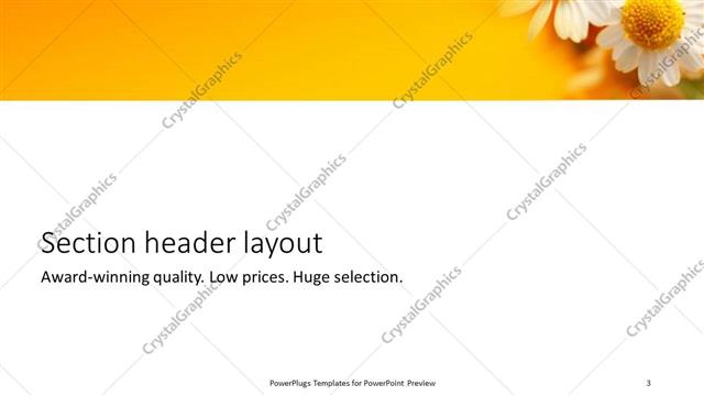 Section Header presentation slide layout
