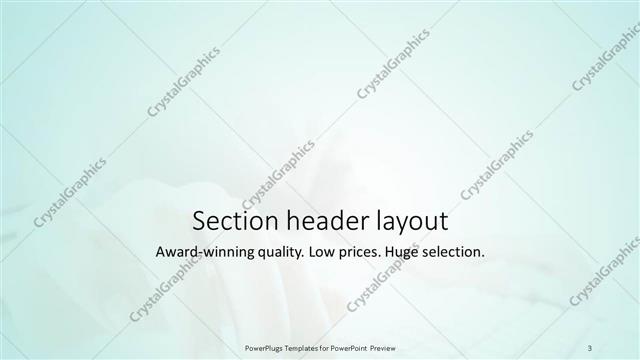 Section Header presentation slide layout