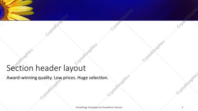 Section Header presentation slide layout