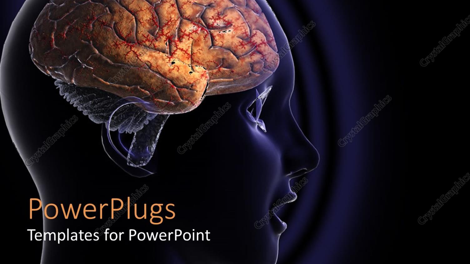 Premium Template for PowerPoint & Google Slides 