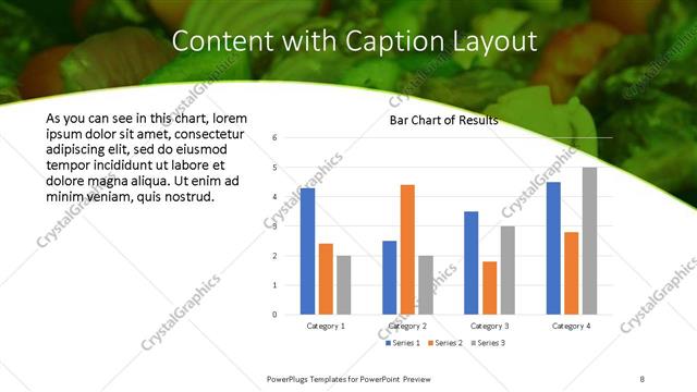 Content with Caption presentation slide layout